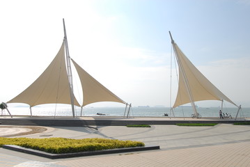 除了碳基生物还有什么生物