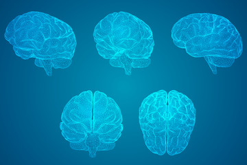 二十四节气科普小知识