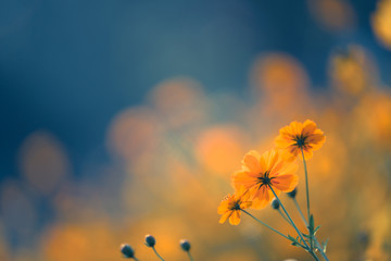 二十四节气科普小知识