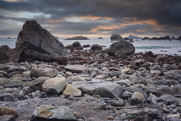 关于菩提树下唯美句子集锦60句