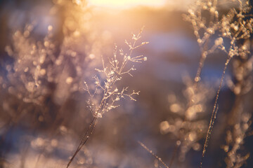 生活中的气象小知识？