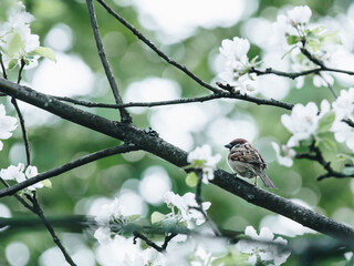 初一必读书目有哪些