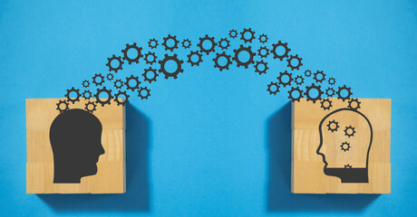 地球历史分为那几个阶段-列出各阶段主要的构造运动