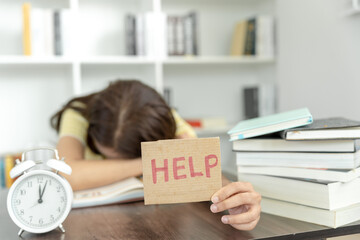 生物部分包括哪三个