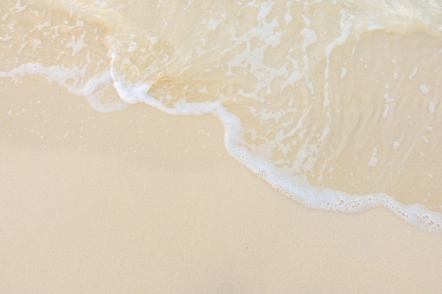 二十四节气科普小知识