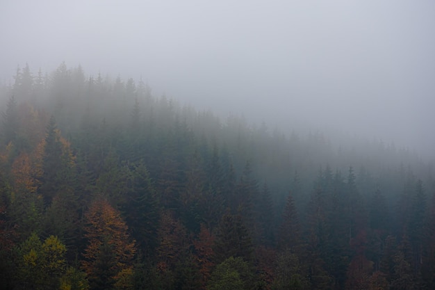 推荐一本关于数学的书适合小学一年级的小朋友