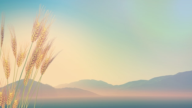 二十四节气科普小知识