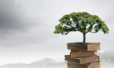 房产证和房地产证有何区别？